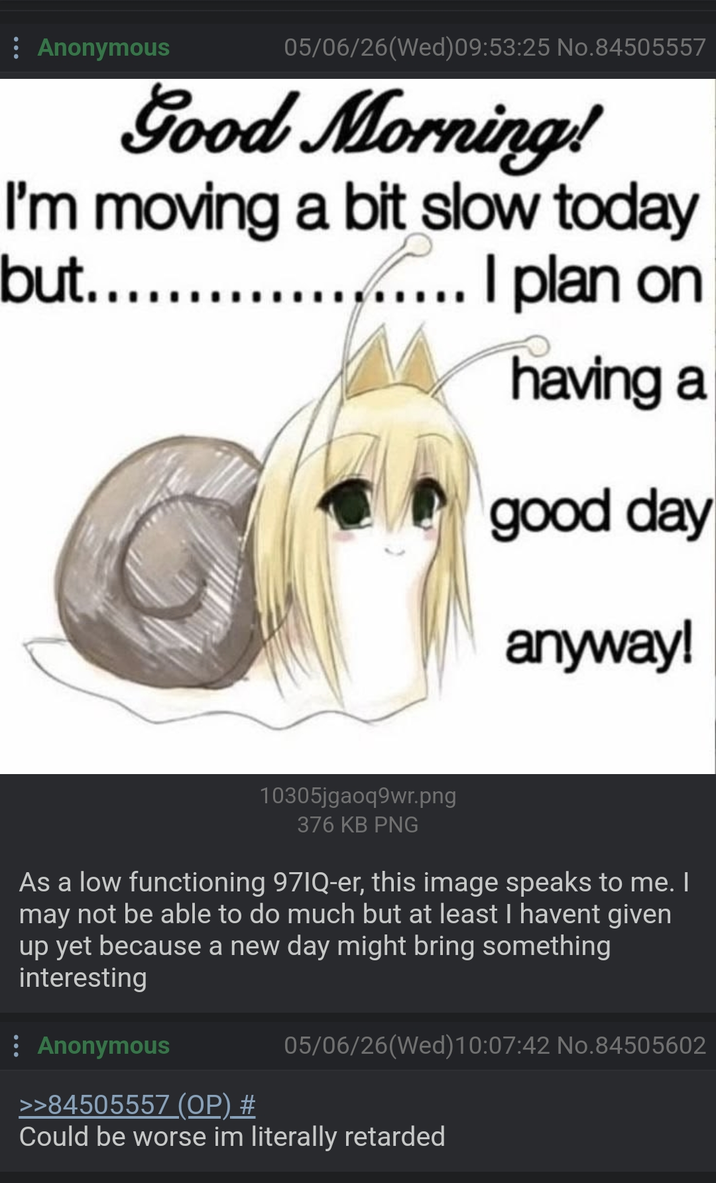 Anonymous 05/06/26(Wed) 09:53:25 No.84505557 Good Morning! I'm moving a bit slow today but..... ..... I plan on having a good day anyway! 10305jgaoq9wr.png 376 KB PNG As a low functioning 97IQ-er, this image speaks to me. I may not be able to do much but at least I havent given up yet because a new day might bring something interesting : Anonymous >>84505557 (OP) # 05/06/26 (Wed)10:07:42 No.84505602 Could be worse im literally retarded