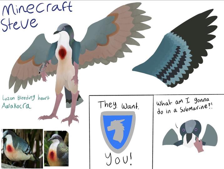 Minecraft Steve Luzon Bleeding heart Aarakocra They Want. What am I gonna do in a Submarine?! You!