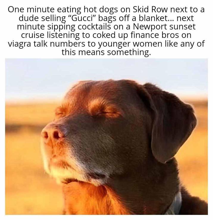 One minute eating hot dogs on Skid Row next to a dude selling "Gucci" bags off a blanket... next minute sipping cocktails on a Newport sunset cruise listening to coked up finance bros on viagra talk numbers to younger women like any of this means something.