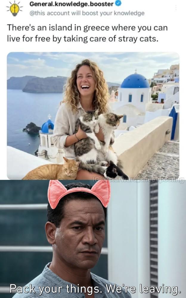 General.knowledge.booster → @this account will boost your knowledge There's an island in greece where you can live for free by taking care of stray cats. IG:@starwars sheevposting Pack your things. We're leaving.