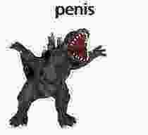 penis