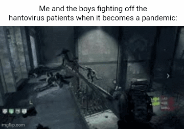 Me and the boys fighting off the hantovirus patients when it becomes a pandemic: imgflip.com