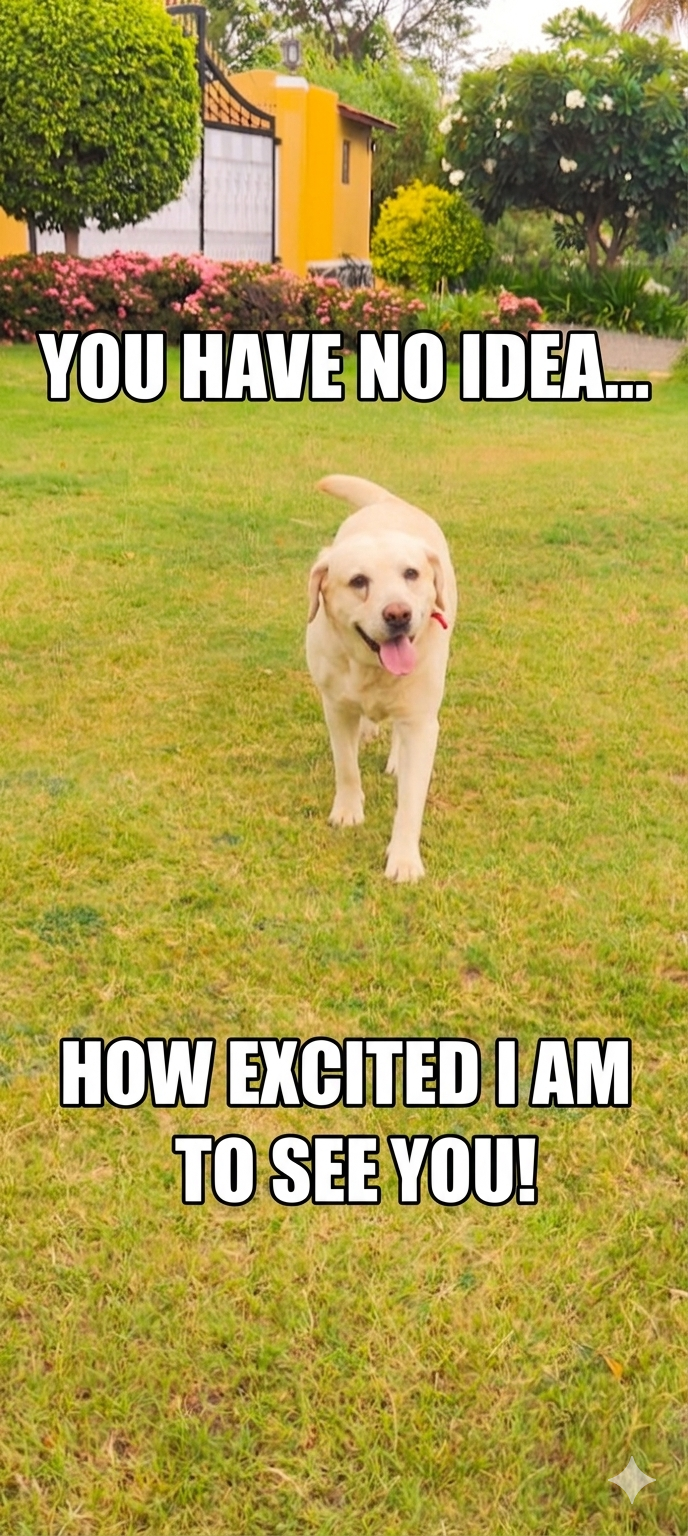 YOU HAVE NO IDEA.... HOW EXCITED I AM TO SEE YOU!