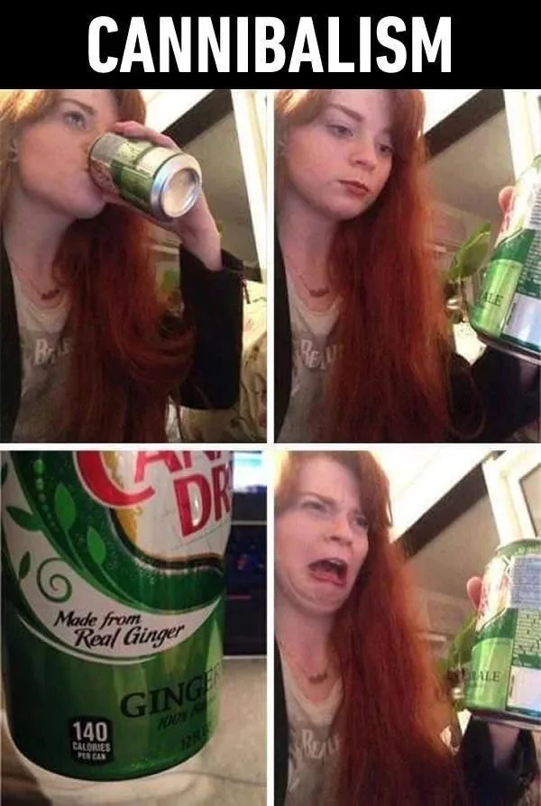 B CANNIBALISM DR Made from Real Ginger GINGER 140 CALORIES PER CAN 100 1280 BEA ALE ALE