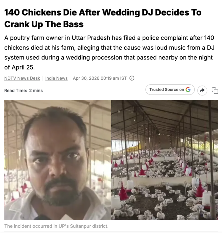 140 Chickens Die After Wedding DJ Decides To Crank Up The Bass A poultry farm owner in Uttar Pradesh has filed a police complaint after 140 chickens died at his farm, alleging that the cause was loud music from a DJ system used during a wedding procession that passed nearby on the night of April 25. NDTV News Desk India News Apr 30, 2026 00:19 am IST ① Read Time: 2 mins Trusted Source on The incident occurred in UP's Sultanpur district.