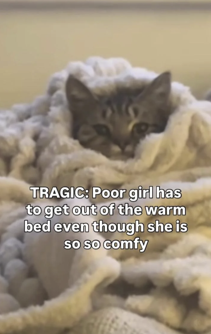 TRAGIC: Poor girl has to get out of the warm bed even though she is so so comfy