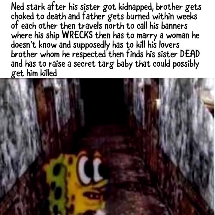 Ned stark after his sister got kidnapped, brother gets choked to death and father gets burned within weeks of each other then travels north to call his banners where his ship WRECKS then has to marry a woman he doesn't know and supposedly has to kill his lovers brother whom he respected then finds his sister DEAD and has to raise a secret targ baby that could possibly get him killed