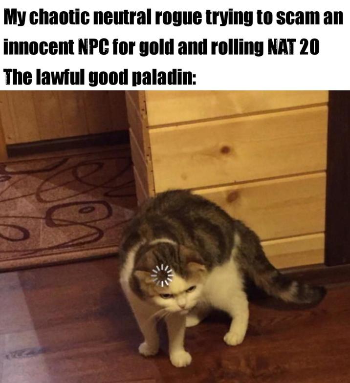 My chaotic neutral rogue trying to scam an innocent NPC for gold and rolling NAT 20 The lawful good paladin: