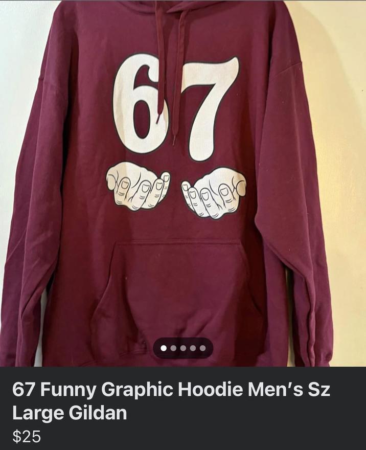 67 D D 67 Funny Graphic Hoodie Men's Sz Large Gildan $25