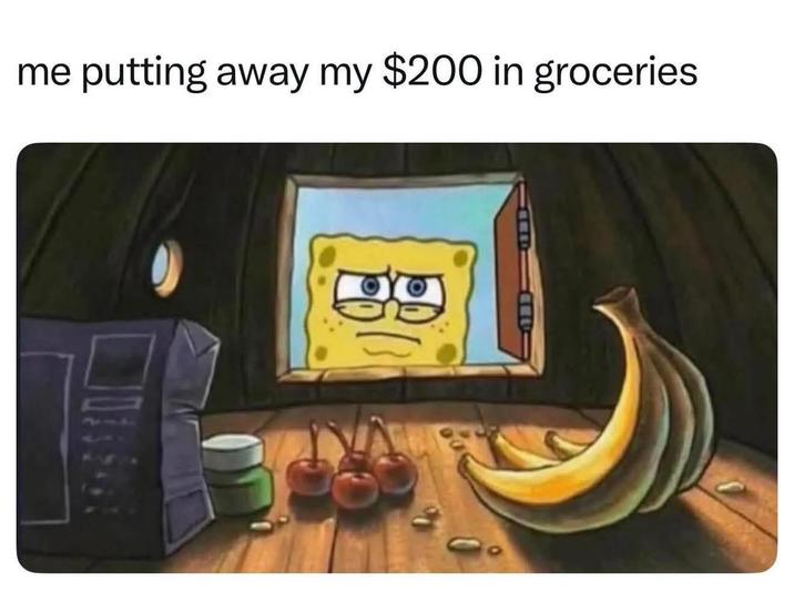 me putting away my $200 in groceries.