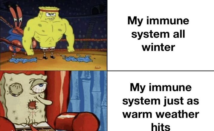 My immune system all winter My immune system just as warm weather hits