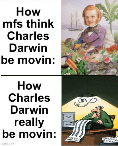 How mfs think Charles Darwin be movin: How Charles Darwin really be movin: imgflip.com LITTLE ANIMALS HAVE CATEN 3124