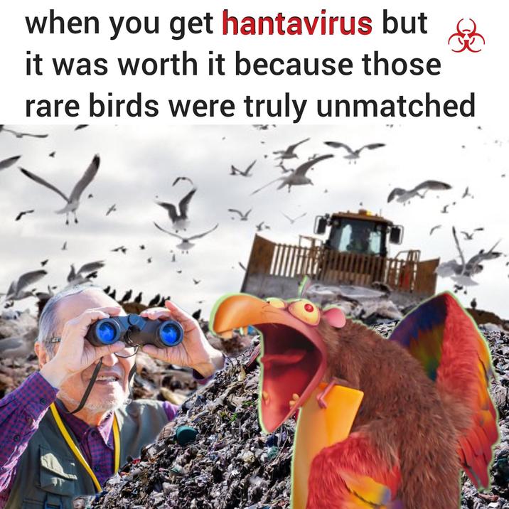 B when you get hantavirus but it was worth it because those rare birds were truly unmatched