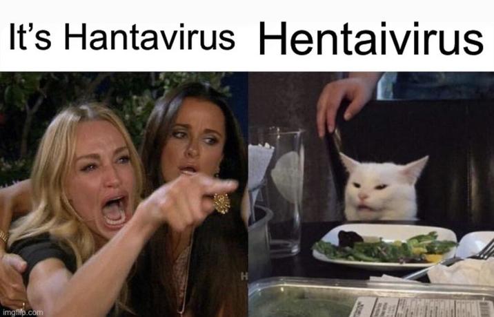 It's Hantavirus Hentaivirus imgfifp.com