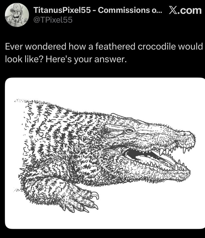 TitanusPixel55 - Commissions o... X.com @TPixel55 Ever wondered how a feathered crocodile would look like? Here's your answer.