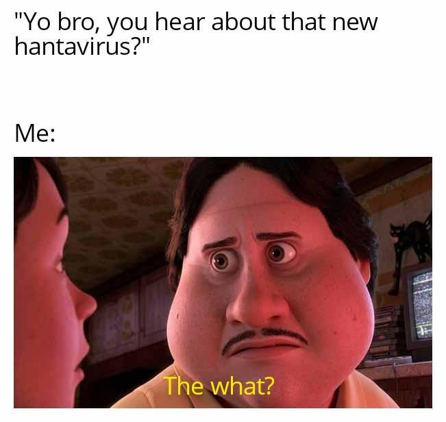 "Yo bro, you hear about that new hantavirus?" Me: The what?