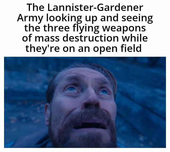 The Lannister-Gardener Army looking up and seeing the three flying weapons of mass destruction while they're on an open field
