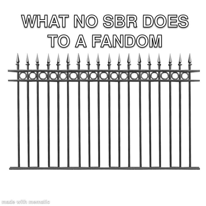 WHAT NO SBR DOES TO A FANDOM made with mematic