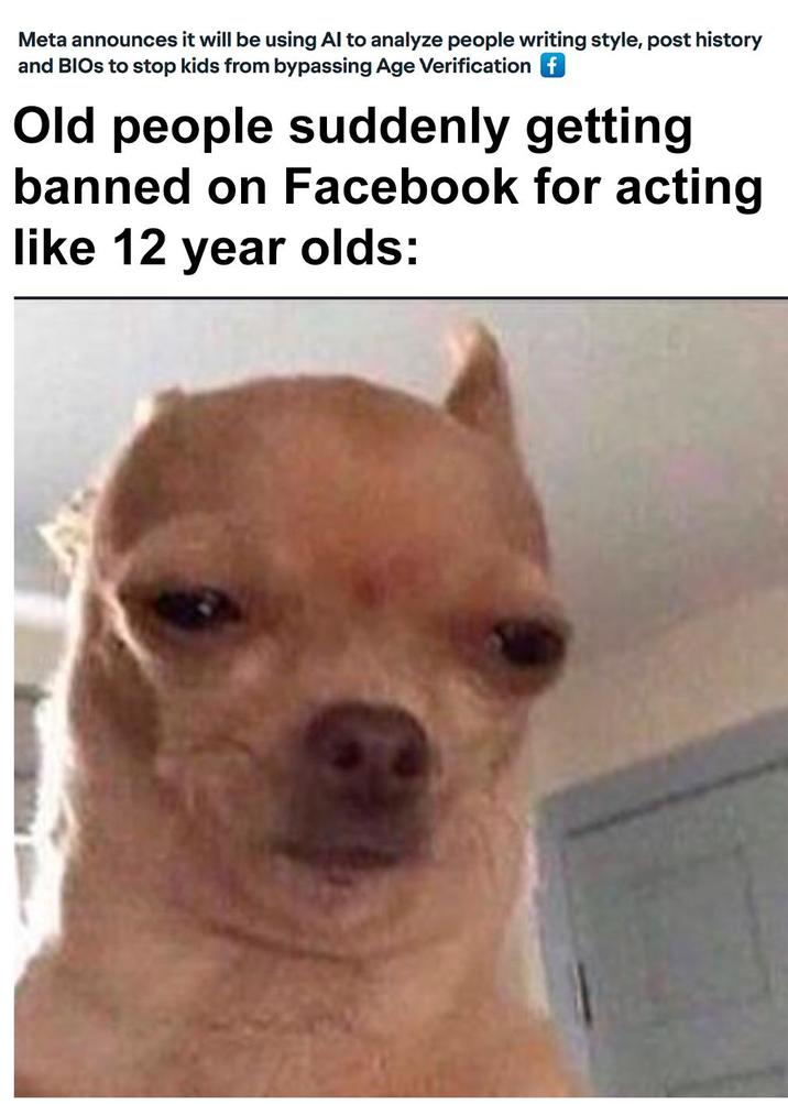 Meta announces it will be using Al to analyze people writing style, post history and BIOS to stop kids from bypassing Age Verification f Old people suddenly getting banned on Facebook for acting like 12 year olds: