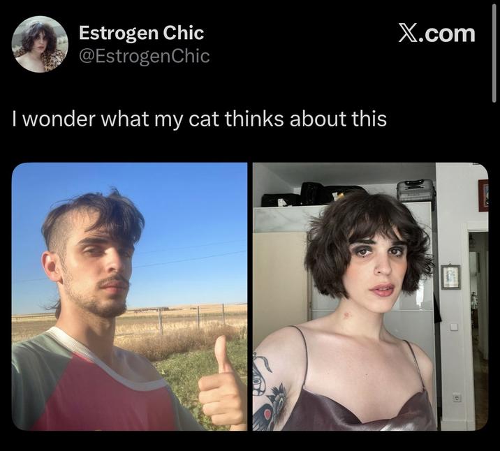 Estrogen Chic @EstrogenChic I wonder what my cat thinks about this X.com e
