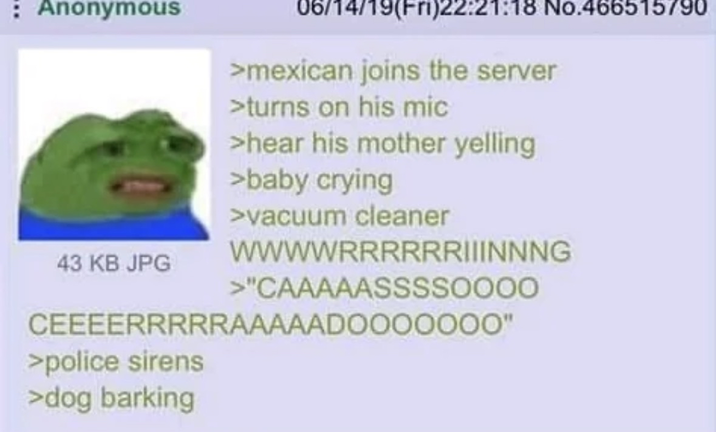 : Anonymous 06/14/19(Fri)22:21:18 No.466515790 >mexican joins the server >turns on his mic >hear his mother yelling >baby crying >vacuum cleaner 43 KB JPG WWWWRRRRRRIIINNNG >"CAAAAASSSSOOOO CEEEERRRRRAAAAADO000000" >police sirens >dog barking