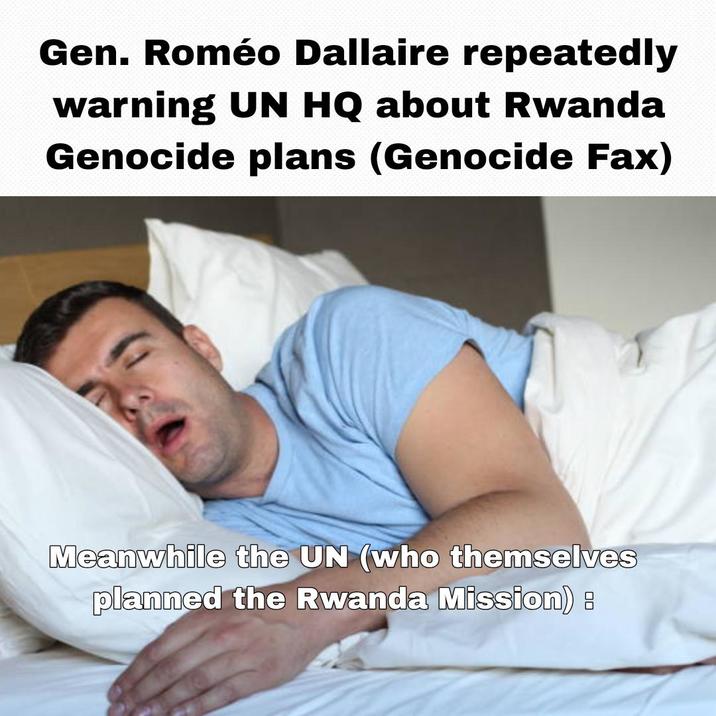 Gen. Roméo Dallaire repeatedly warning UN HQ about Rwanda Genocide plans (Genocide Fax) Meanwhile the UN (who themselves planned the Rwanda Mission) :