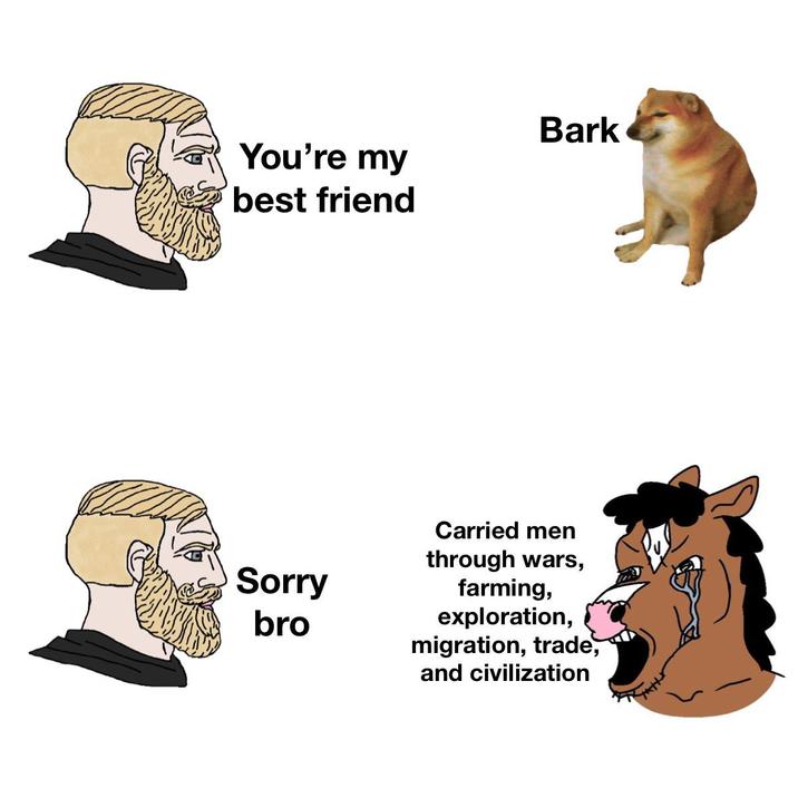 You're my best friend Sorry bro Bark Carried men through wars, farming, exploration, migration, trade, and civilization