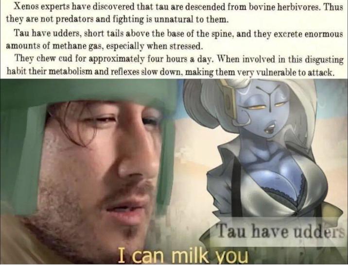 Xenos experts have discovered that tau are descended from bovine herbivores. Thus they are not predators and fighting is unnatural to them. Tau have udders, short tails above the base of the spine, and they excrete enormous amounts of methane gas, especially when stressed. They chew cud for approximately four hours a day. When involved in this disgusting habit their metabolism and reflexes slow down, making them very vulnerable to attack. Tau have udders I can milk you