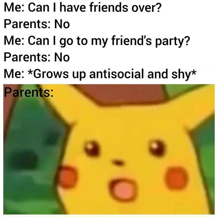 Me: Can I have friends over? Parents: No Me: Can I go to my friend's party? Parents: No Me: *Grows up antisocial and shy* Parents: