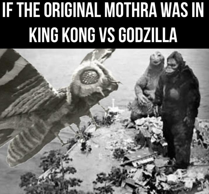 IF THE ORIGINAL MOTHRA WAS IN KING KONG VS GODZILLA