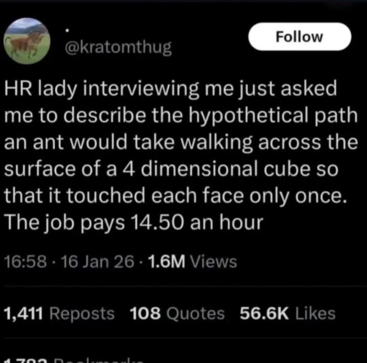 Follow @kratomthug HR lady interviewing me just asked me to describe the hypothetical path an ant would take walking across the surface of a 4 dimensional cube so that it touched each face only once. The job pays 14.50 an hour 16:58.16 Jan 26 - 1.6M Views 1,411 Reposts 108 Quotes 56.6K Likes