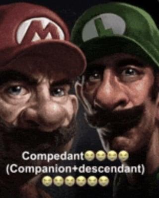 Compedant e (Companion+descendant)