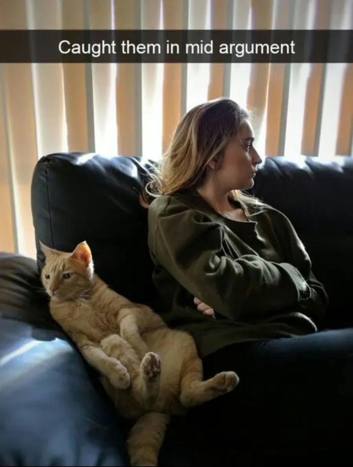 Caught them in mid argument