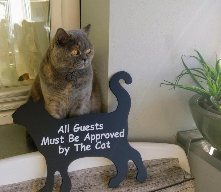 All Guests Must Be Approved by The Cat