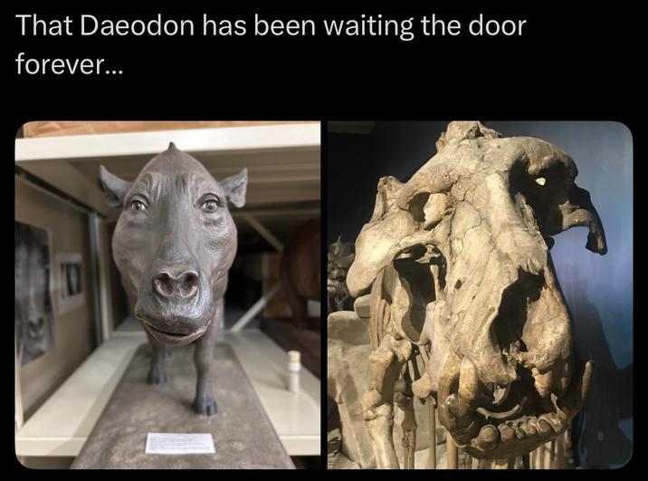 That Daeodon has been waiting the door forever...