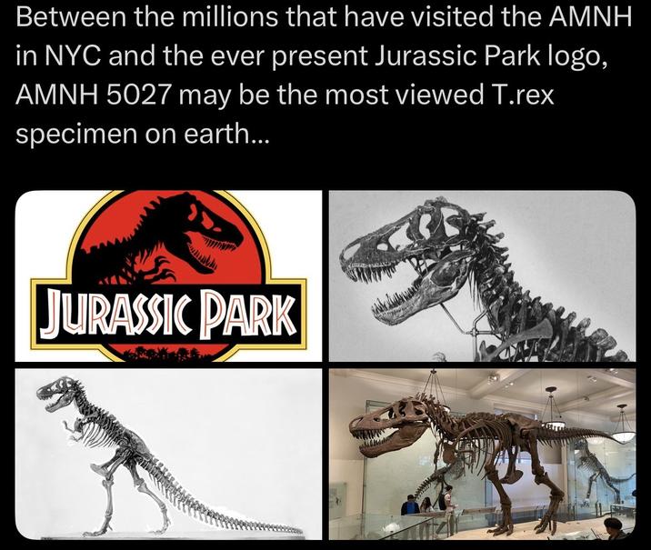 Between the millions that have visited the AMNH in NYC and the ever present Jurassic Park logo, AMNH 5027 may be the most viewed T.rex specimen on earth... JURASSIC PARK