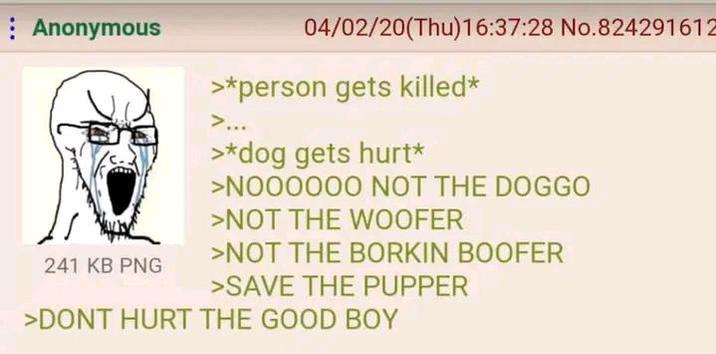 : Anonymous 241 KB PNG 04/02/20(Thu)16:37:28 No.824291612 >*person gets killed* >... >*dog gets hurt* >NOOOOOO NOT THE DOGGO >NOT THE WOOFER >NOT THE BORKIN BOOFER >SAVE THE PUPPER >DONT HURT THE GOOD BOY