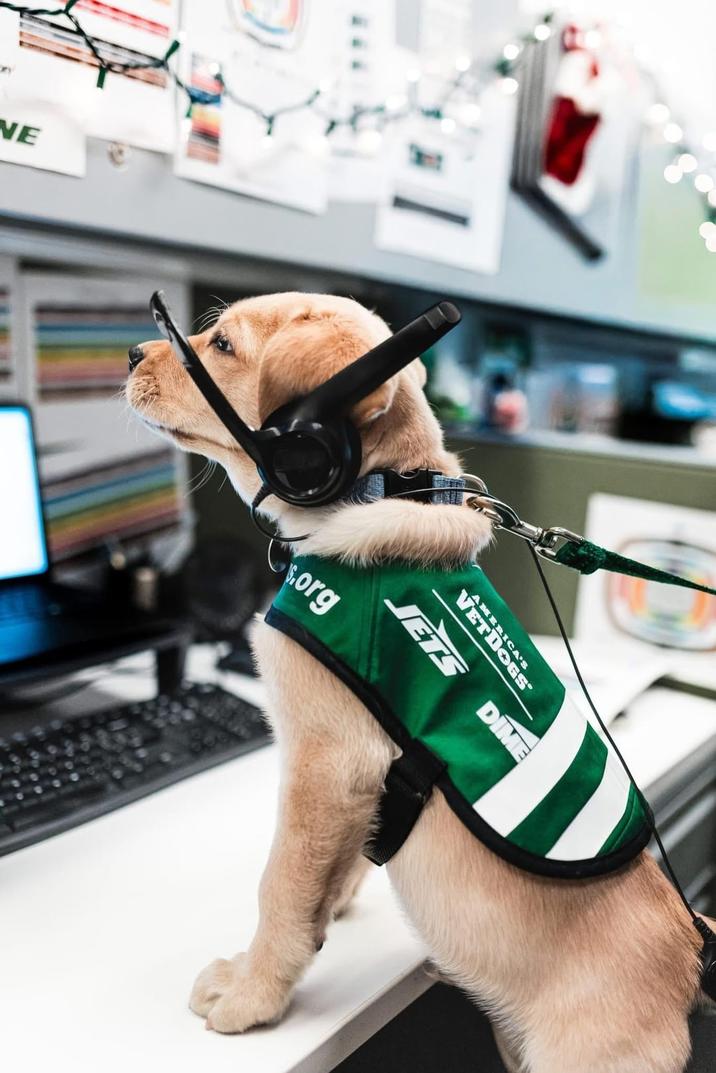 NE I org AMERICA'S VETDOGS JETS DIME