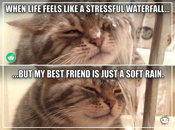 WHEN LIFE FEELS LIKE A STRESSFUL WATERFALL... ...BUT MY BEST FRIEND IS JUST A SOFT RAIN.