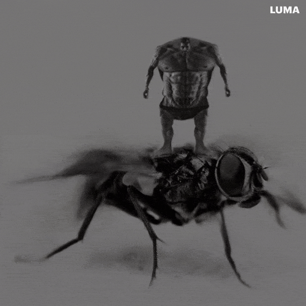 LUMA