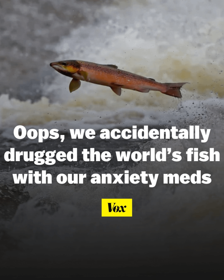 25 Bizarre Sentences So Weird They Could Be Brand New | Know Your Meme
