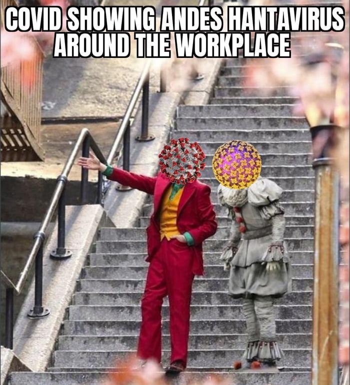 COVID SHOWING ANDES HANTAVIRUS AROUND THE WORKPLACE
