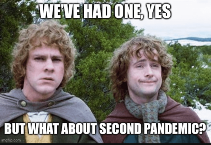 WE'VE HAD ONE, YES BUT WHAT ABOUT SECOND PANDEMIC? imgflip.com