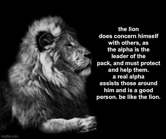 imgflip.com the lion does concern himself with others, as the alpha is the leader of the pack, and must protect and help them. a real alpha assists those around him and is a good person. be like the lion.