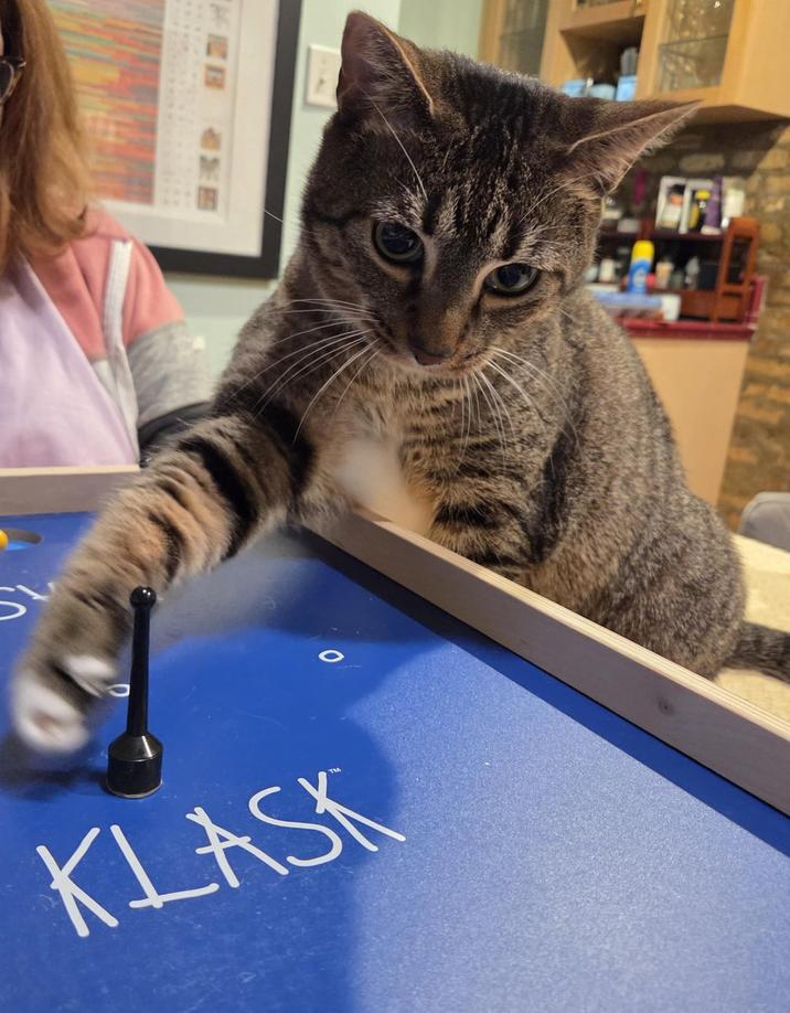 S 0 KLASK