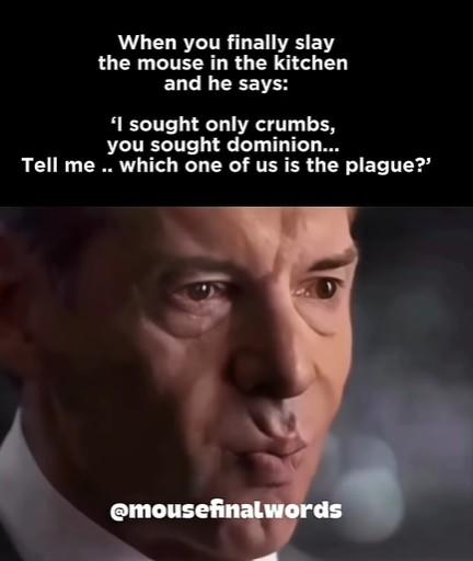 When you finally slay the mouse in the kitchen and he says: 'I sought only crumbs, you sought dominion... Tell me .. which one of us is the plague?' @mousefinalwords