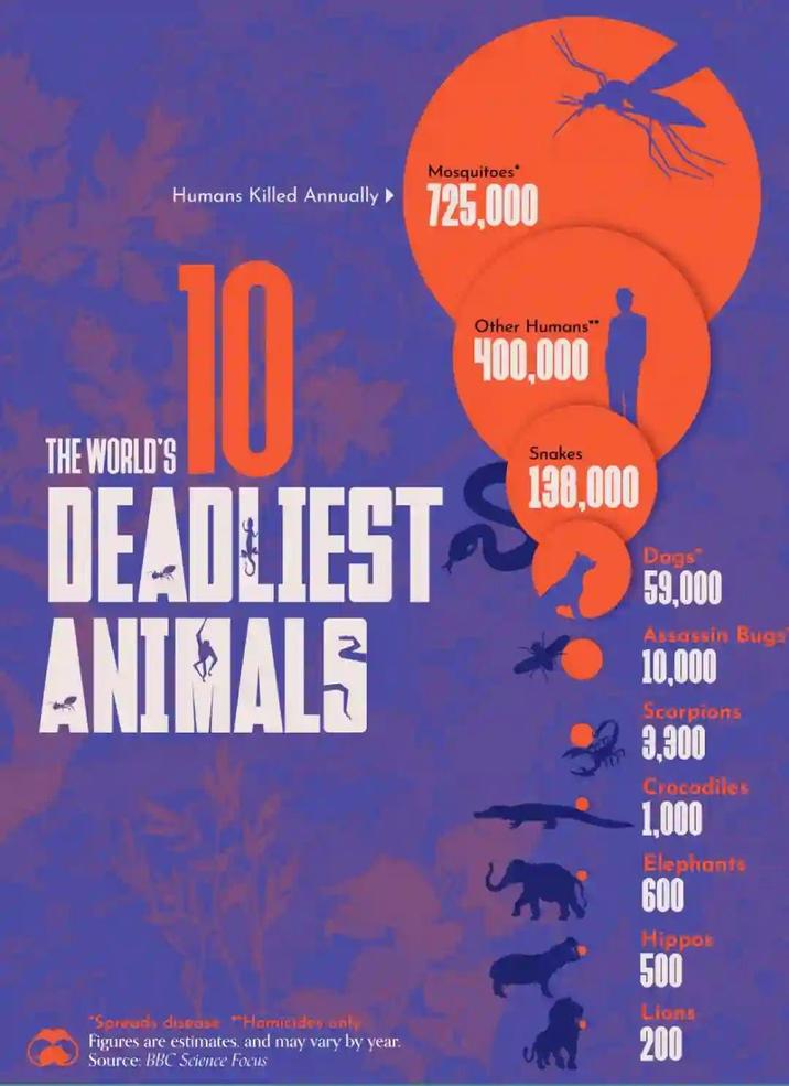 Humans Killed Annually ▸ Mosquitoes 725,000 .10 THE WORLD'S DEADLIEST ANIMALS "Spreads disease "Homicides only Figures are estimates, and may vary by year. Source: BBC Science Focus Other Humans" 400,000 Snakes 138,000 Dogs 59,000 Assassin Bugs 10,000 Scorpions 3,300 Crocodiles 1,000 Elephants 600 Hippos 500 Lions 200