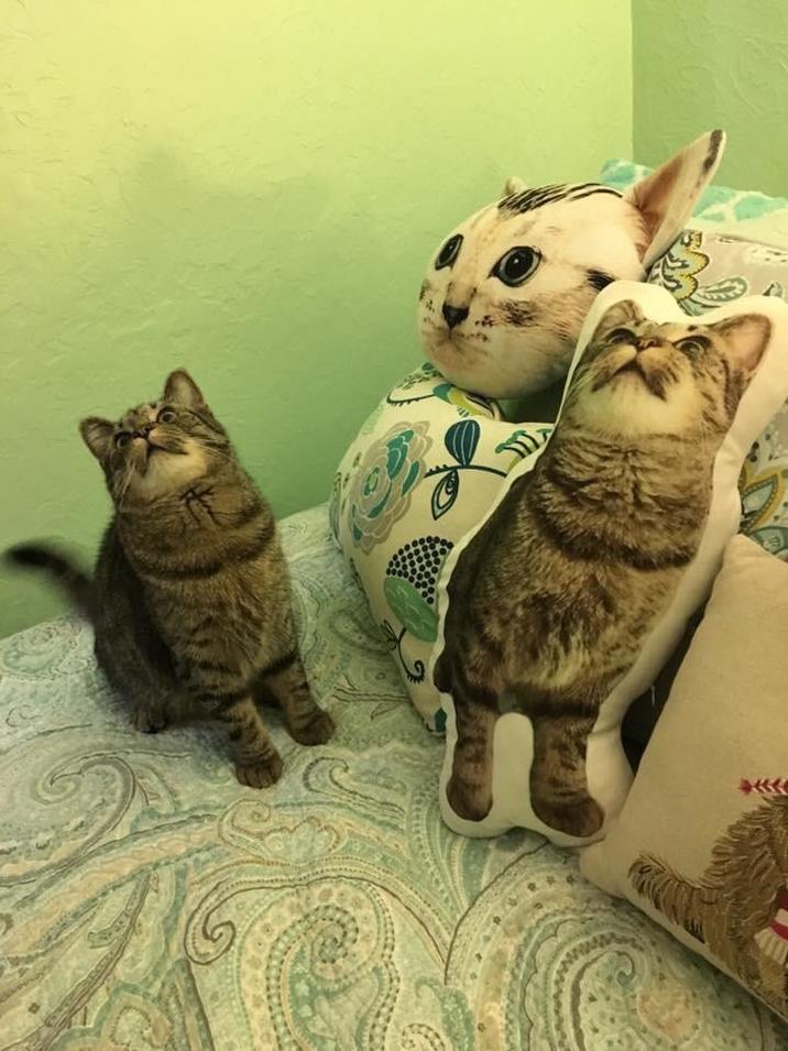 wwwww