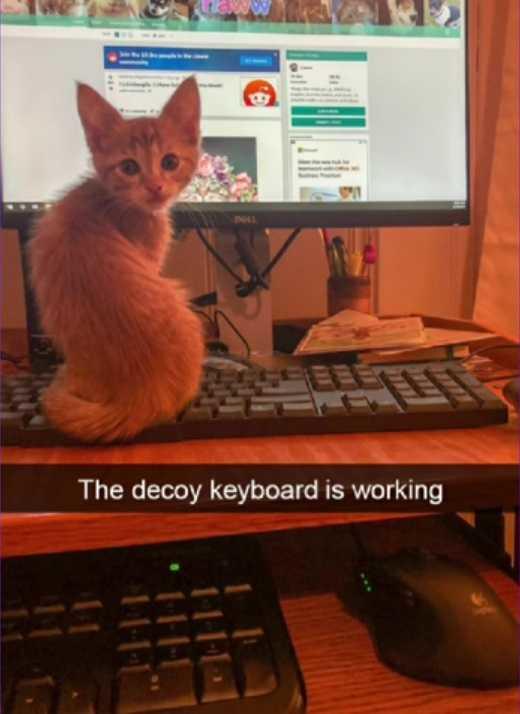 The decoy keyboard is working