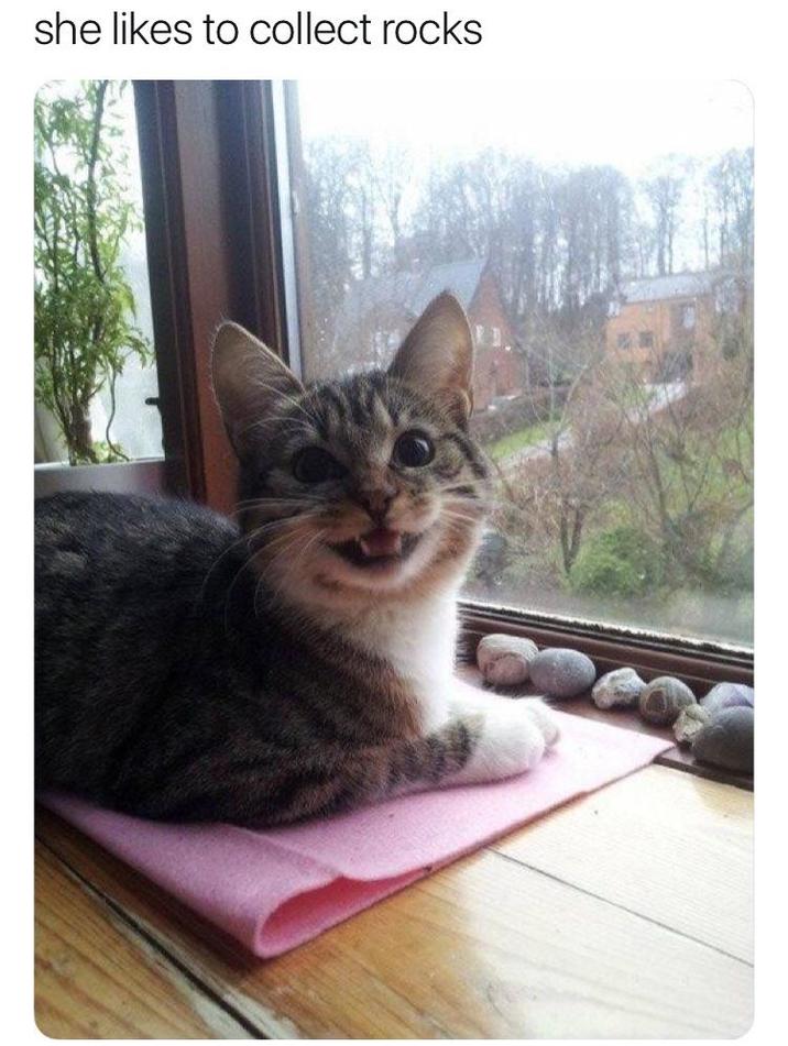 she likes to collect rocks